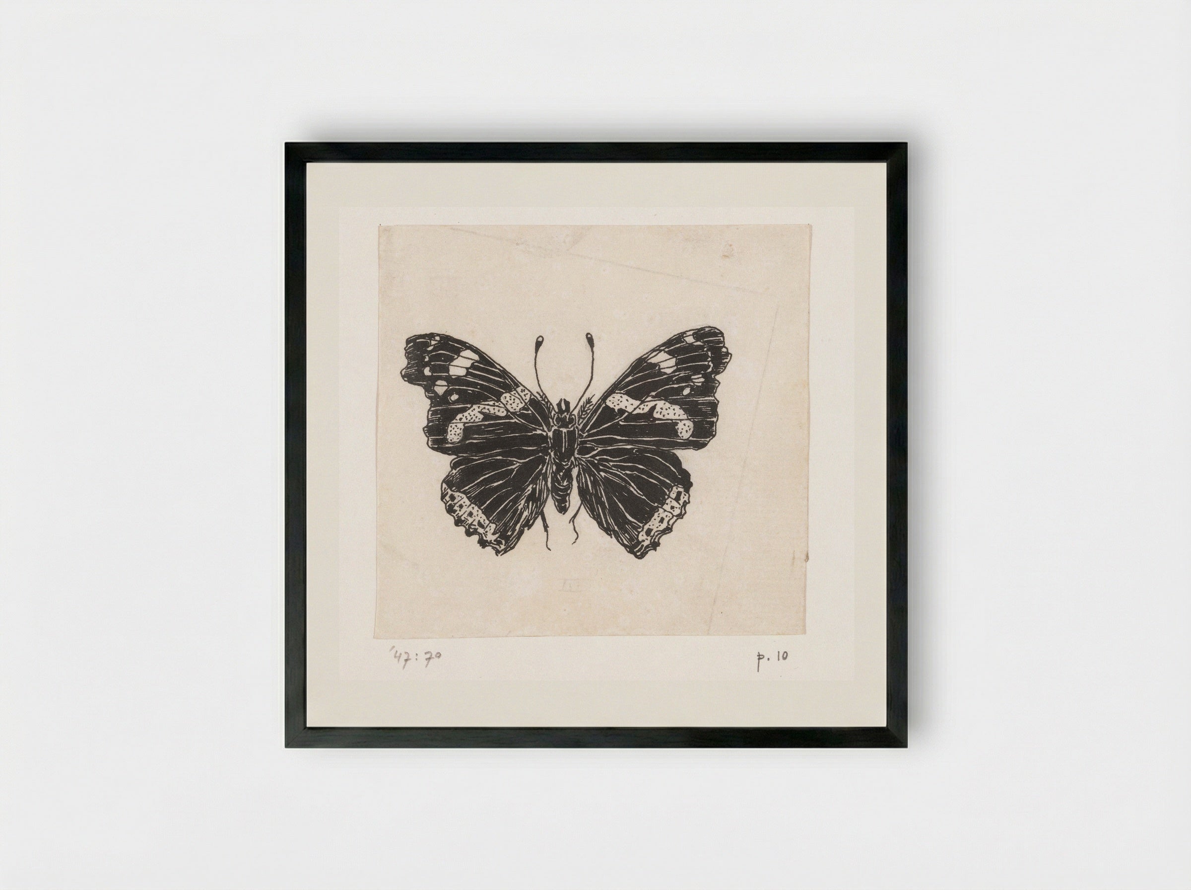 Schoenlapper (Butterfly Study) - Willem Wenckebach - Framed Print Black