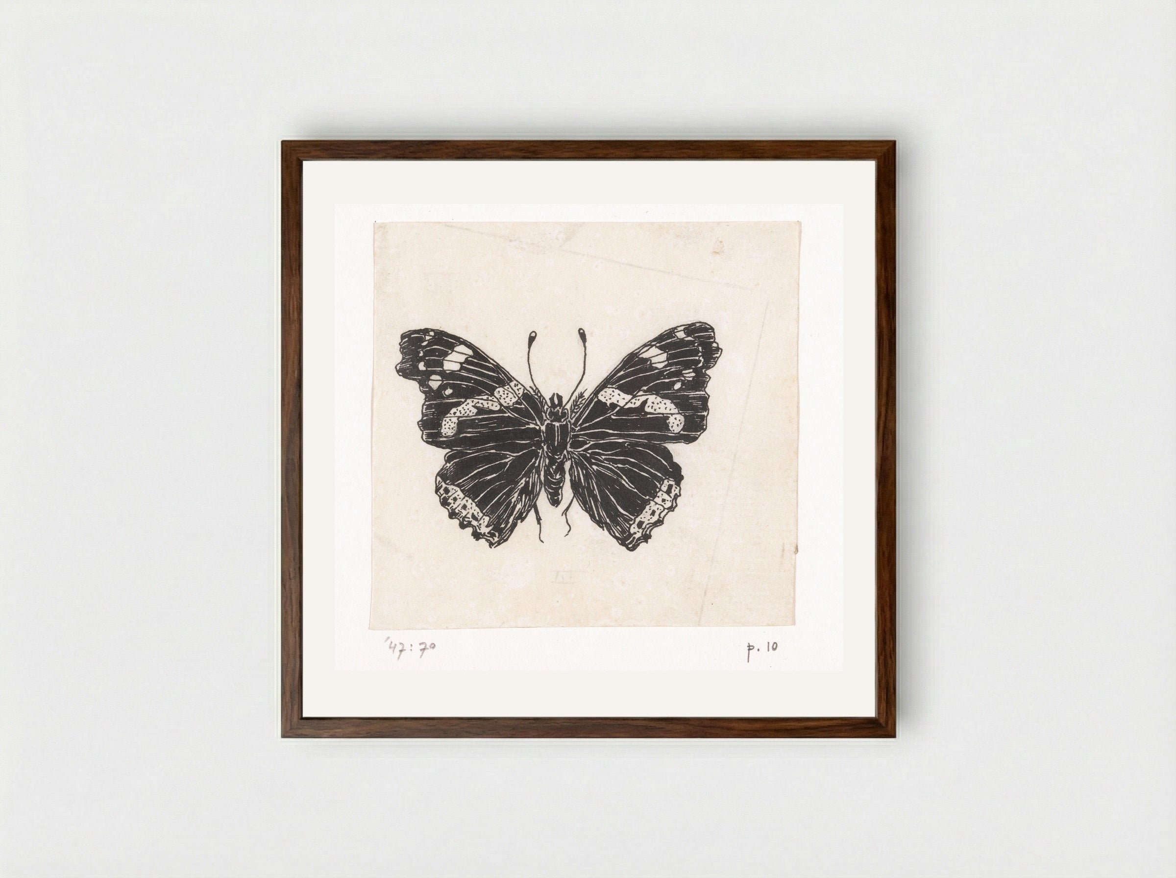 Schoenlapper (Butterfly Study) - Willem Wenckebach - Framed Print Dark Wood
