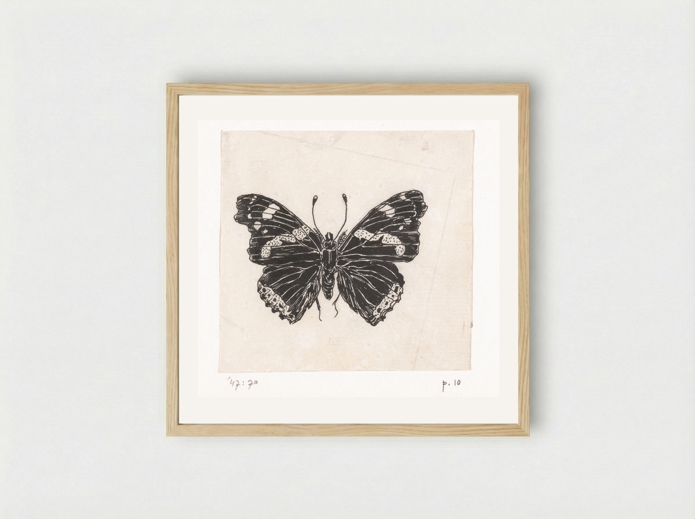 Schoenlapper (Butterfly Study) - Willem Wenckebach - Framed Print Wood