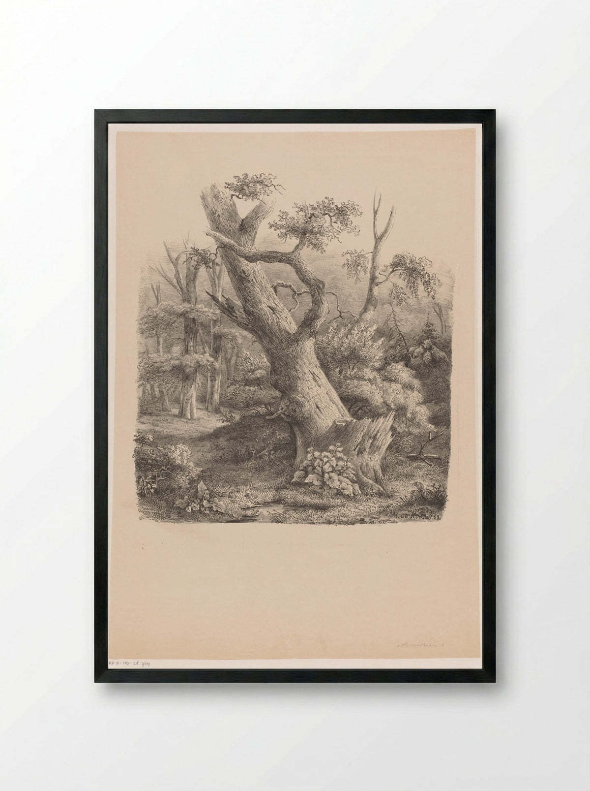 Schuine boom in het bos - Maurits E.H.R. van den Kerkhoff - Framed Print Black
