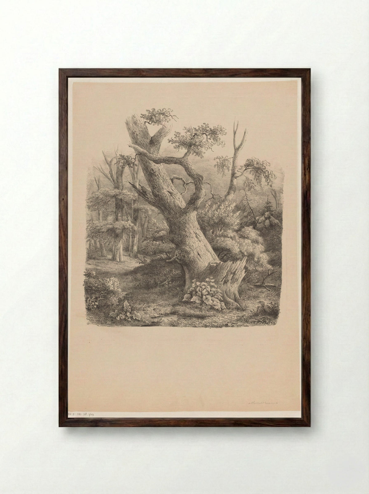 Schuine boom in het bos - Maurits E.H.R. van den Kerkhoff - Framed Print Dark Wood