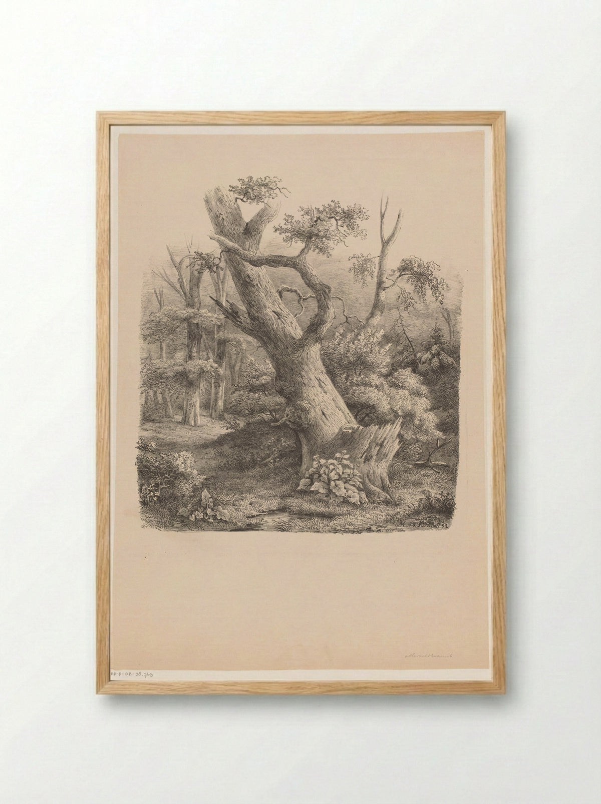 Schuine boom in het bos - Maurits E.H.R. van den Kerkhoff - Framed Print Wood
