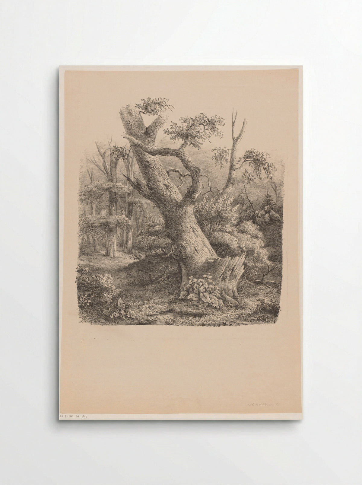 Schuine boom in het bos - Maurits E.H.R. van den Kerkhoff - Poster