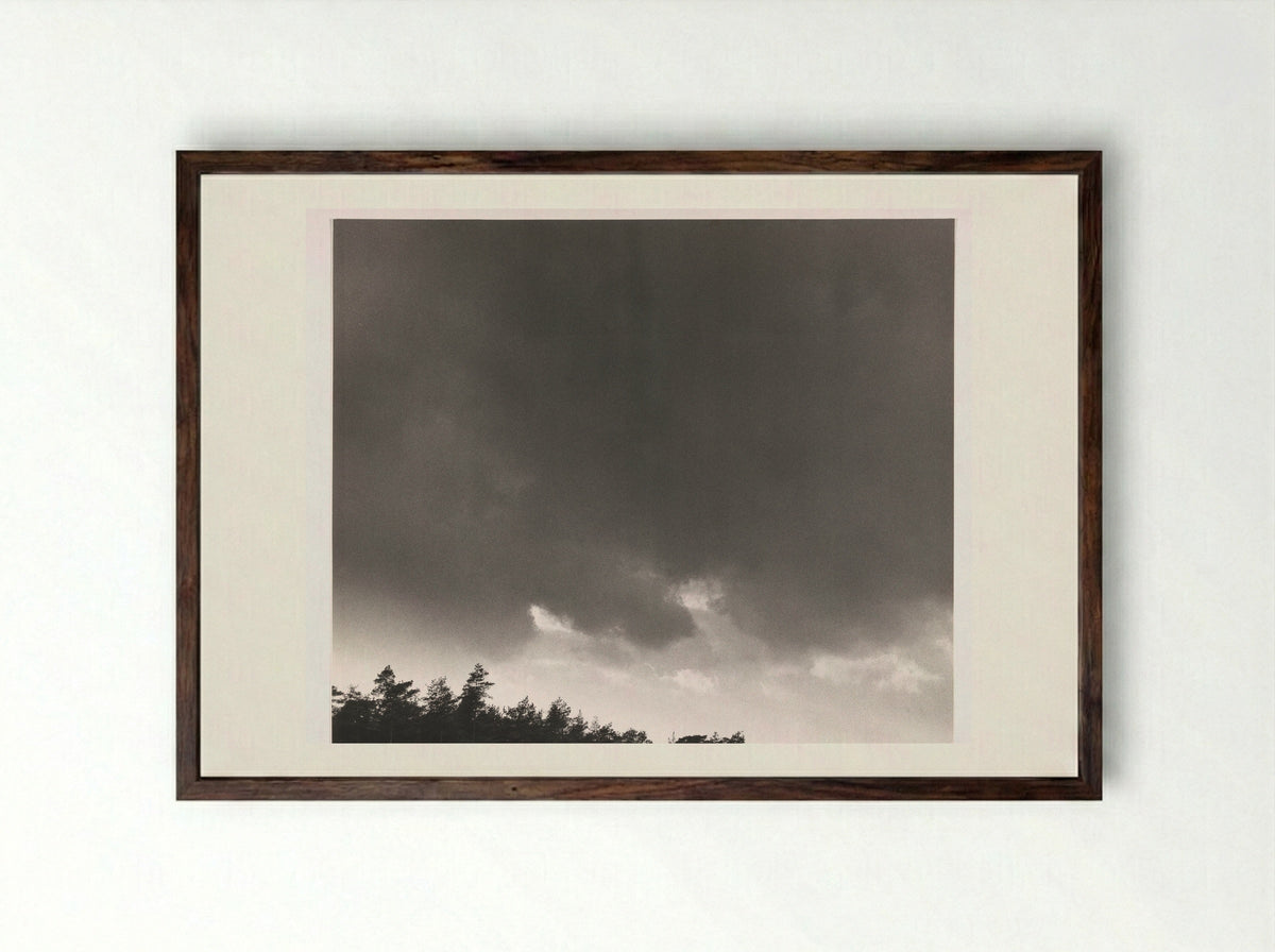 Schuldig landschap - Armando - Framed Print Dark Wood