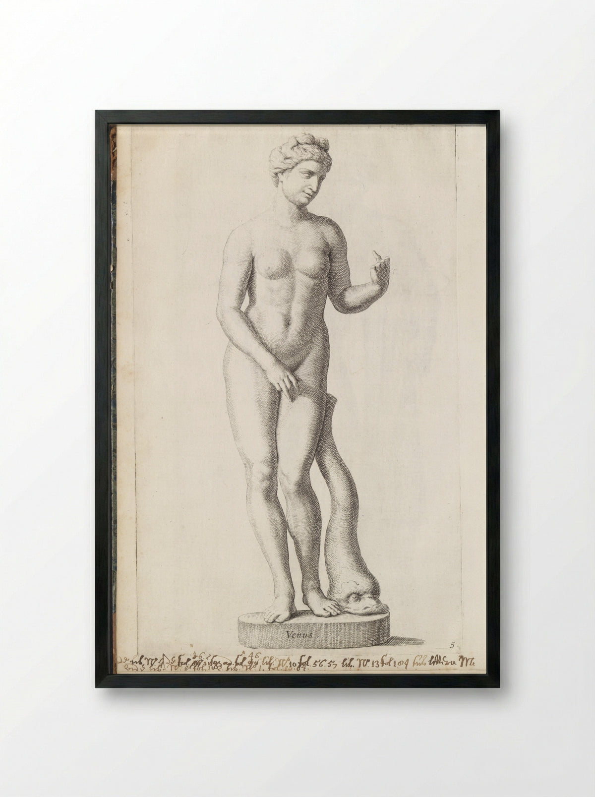 Sculptuur van Venus met een dolfijn - Hubert Quellinus - Framed Print Black