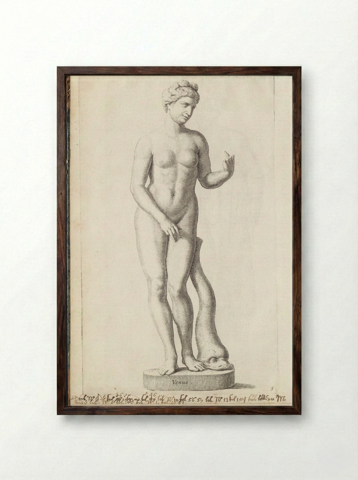 Sculptuur van Venus met een dolfijn - Hubert Quellinus - Framed Print Dark Wood