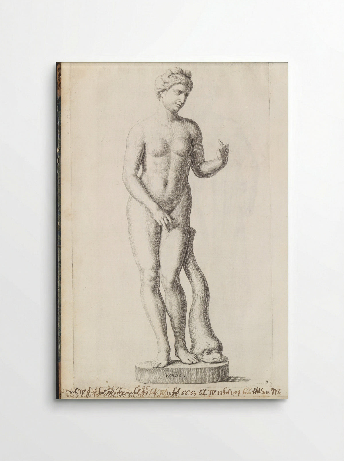 Sculptuur van Venus met een dolfijn - Hubert Quellinus - Poster
