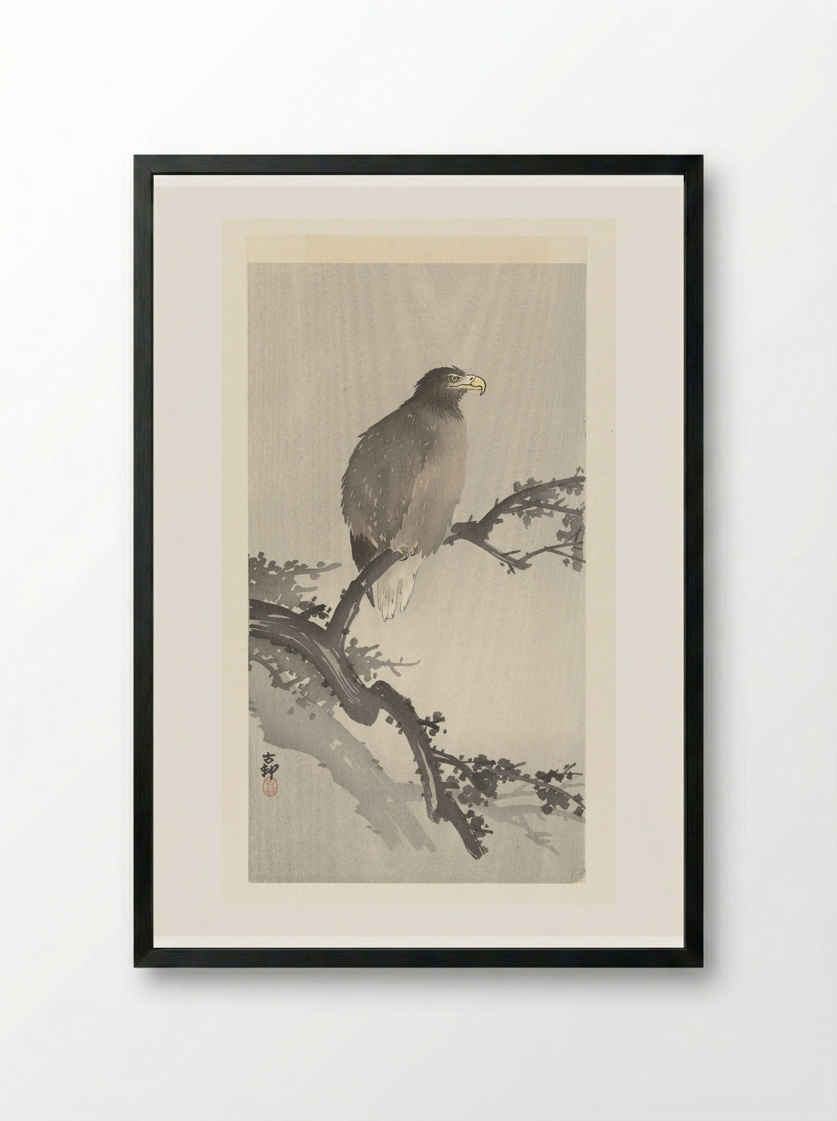 Sea Eagle on a Branch - Ohara Koson - Framed Print Black