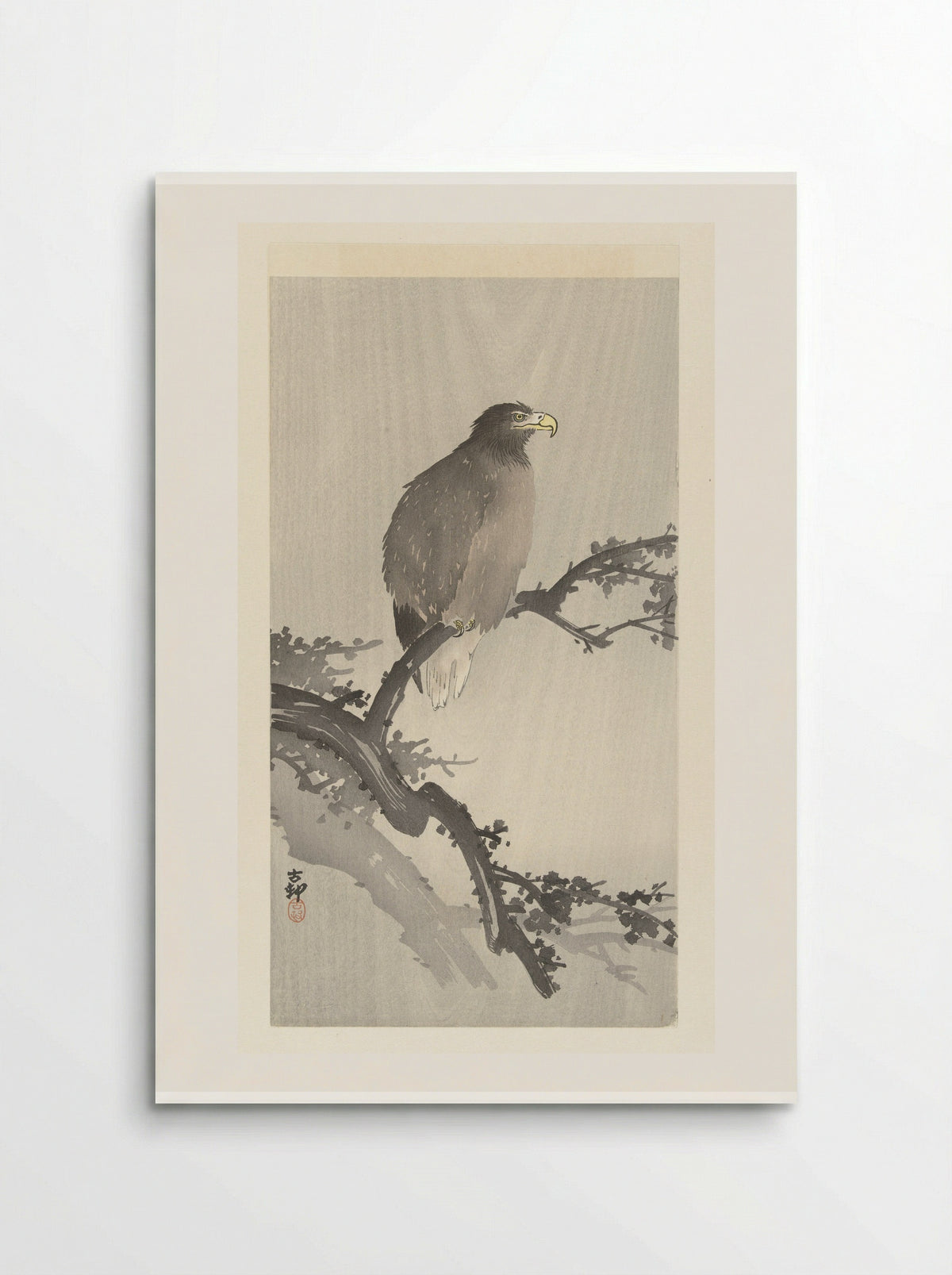 Sea Eagle on a Branch - Ohara Koson - Poster