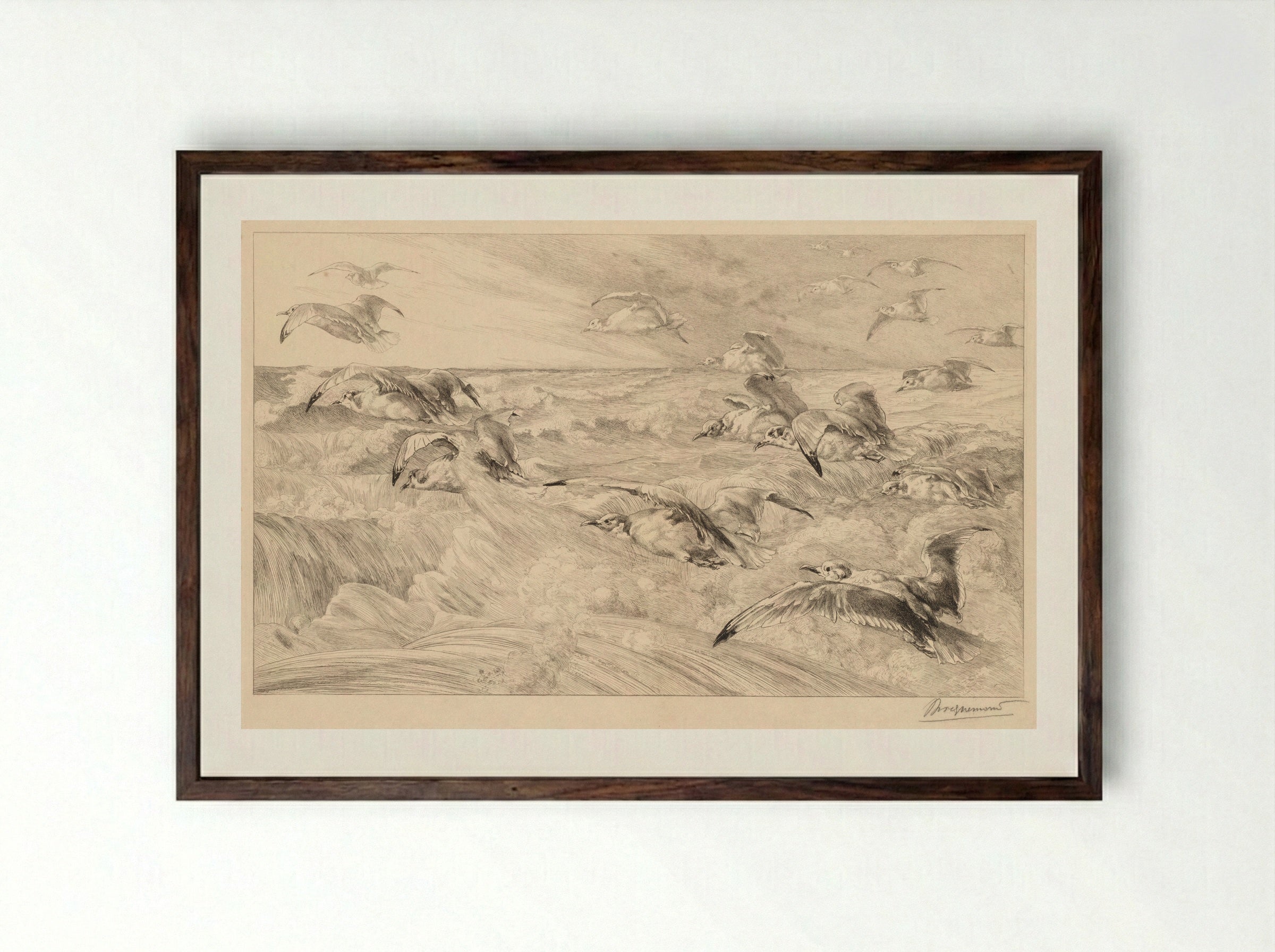 Seagulls (Les Mouettes) - Félix Bracquemond - Framed Print Dark Wood
