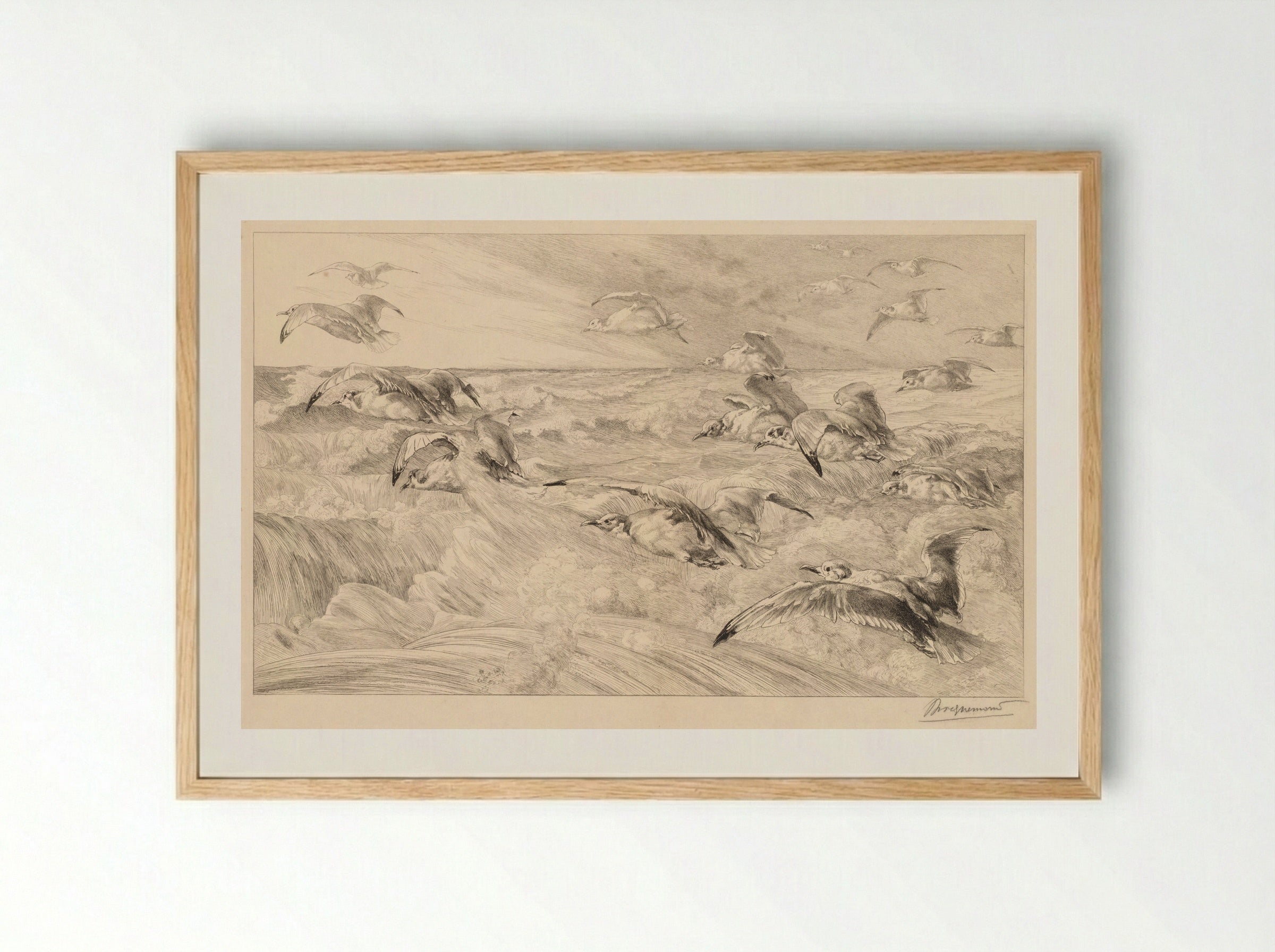 Seagulls (Les Mouettes) - Félix Bracquemond - Framed Print Wood