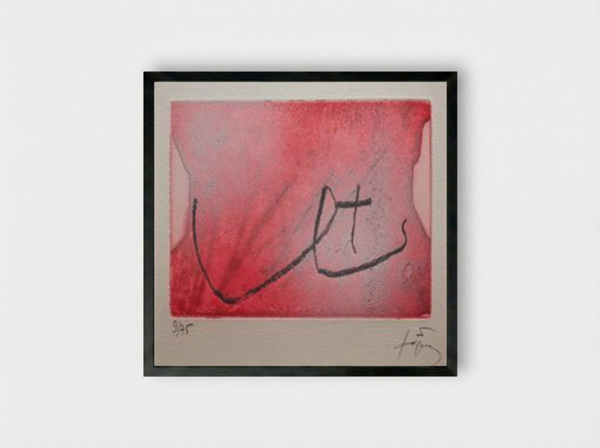 Seins - Antoni Tàpies - Framed Print Black