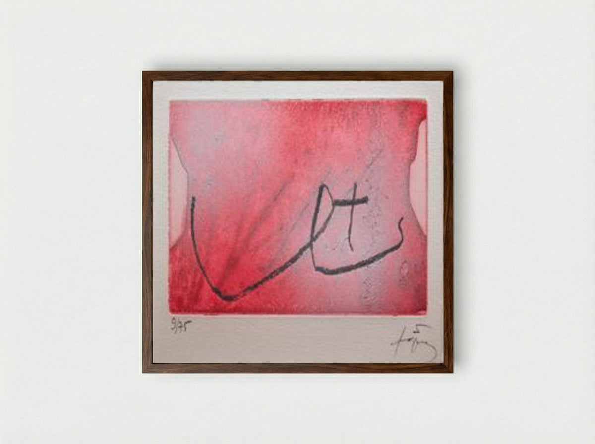 Seins - Antoni Tàpies - Framed Print Dark Wood
