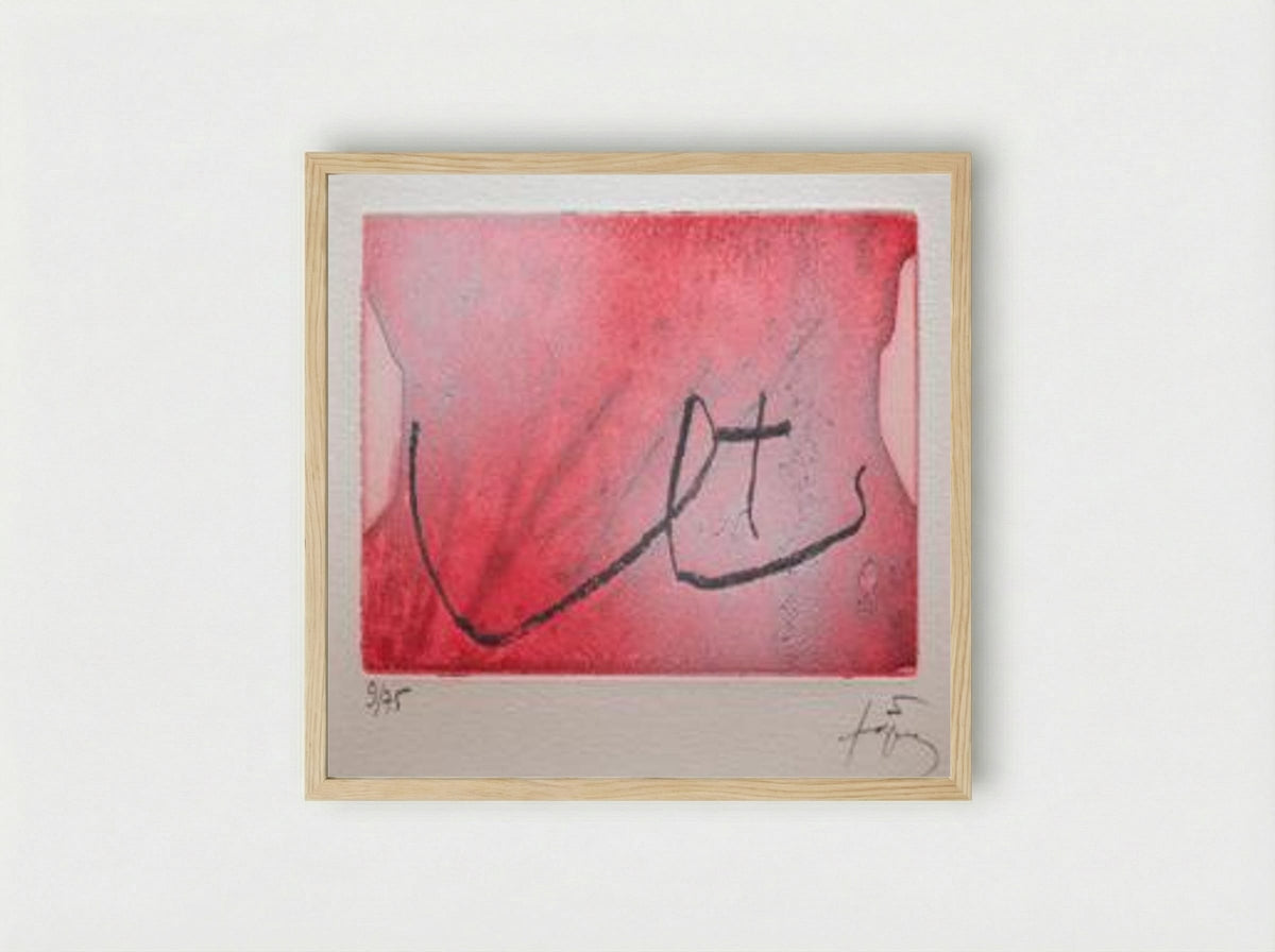 Seins - Antoni Tàpies - Framed Print Wood