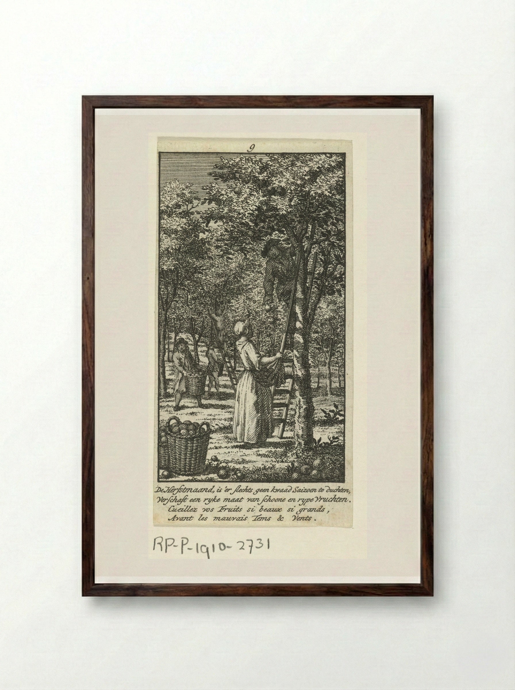 September: fruitoogst - Jan Caspar Philips - Framed Print Dark Wood