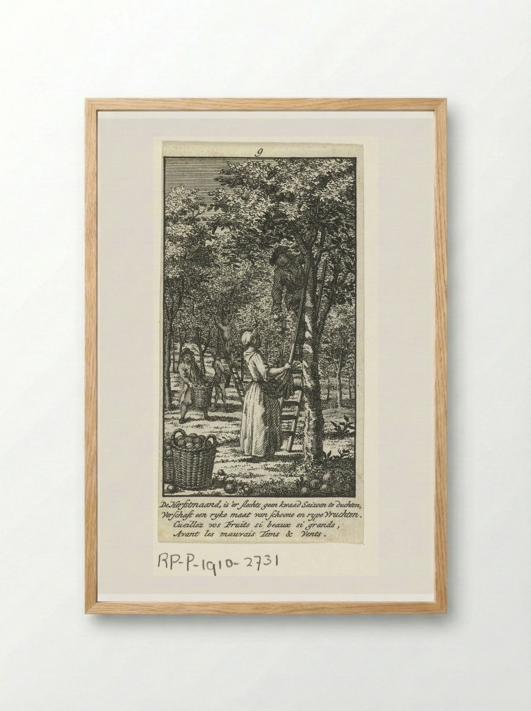 September: fruitoogst - Jan Caspar Philips - Framed Print Wood