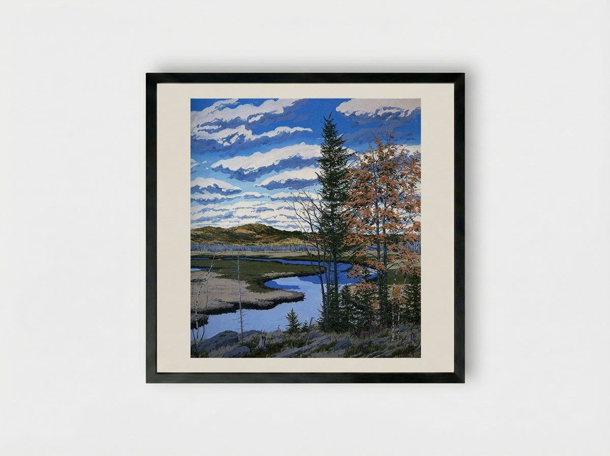 Shadow on Brigg's Meadow - Neil Welliver - Framed Print Black
