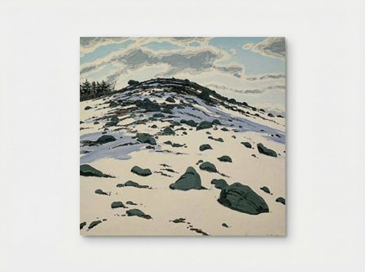 Shadow on Frankfort Barren - Neil Welliver - Poster