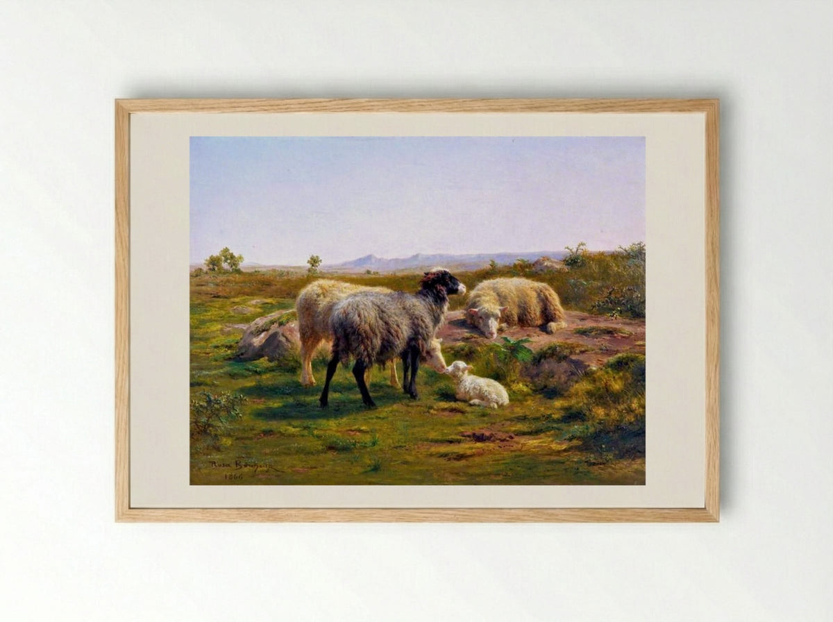 Sheep and a Lamb - Rosa Bonheur - Framed Print Wood