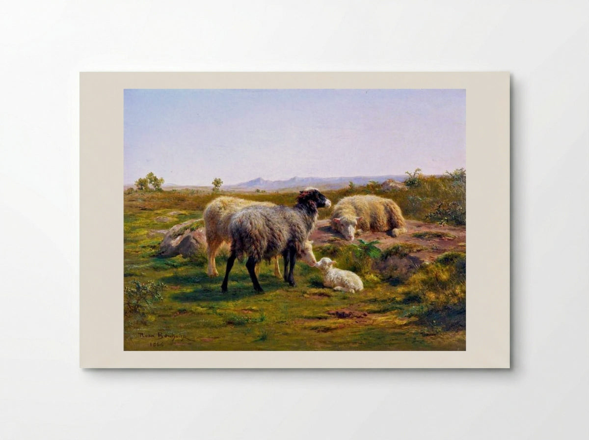 Sheep and a Lamb - Rosa Bonheur - Poster