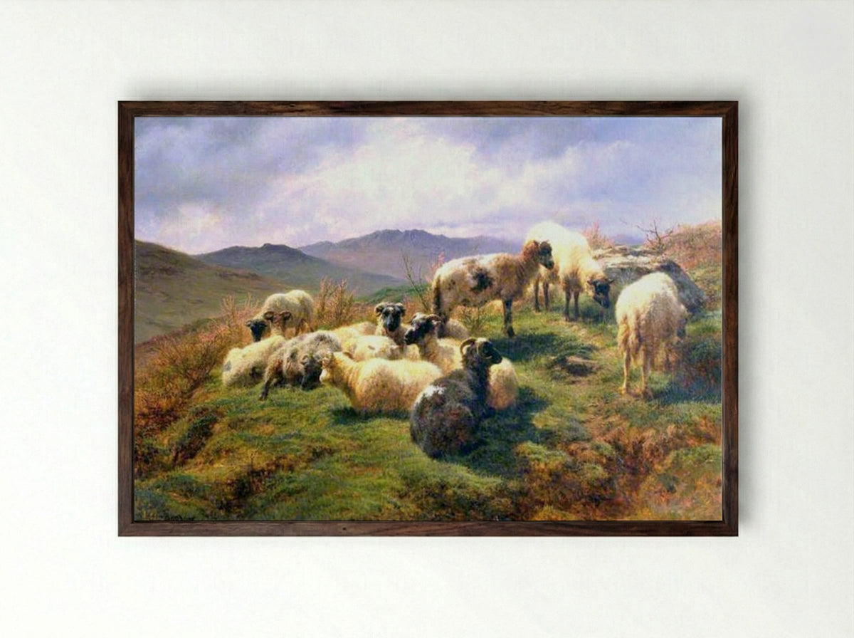 Sheep in the Highlands - Rosa Bonheur - Framed Print Dark Wood