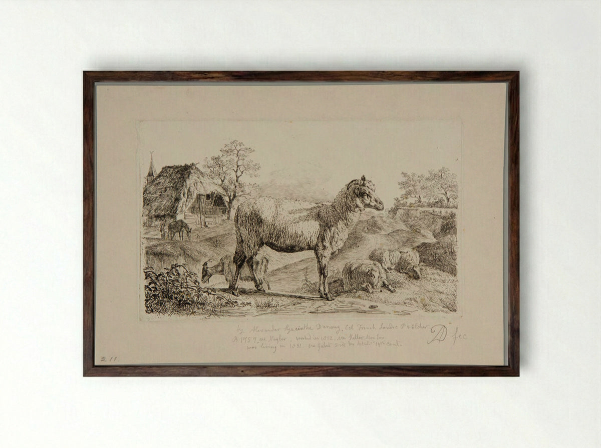Sheep - Alexandre Hyacinthe Dunouy - Framed Print Dark Wood