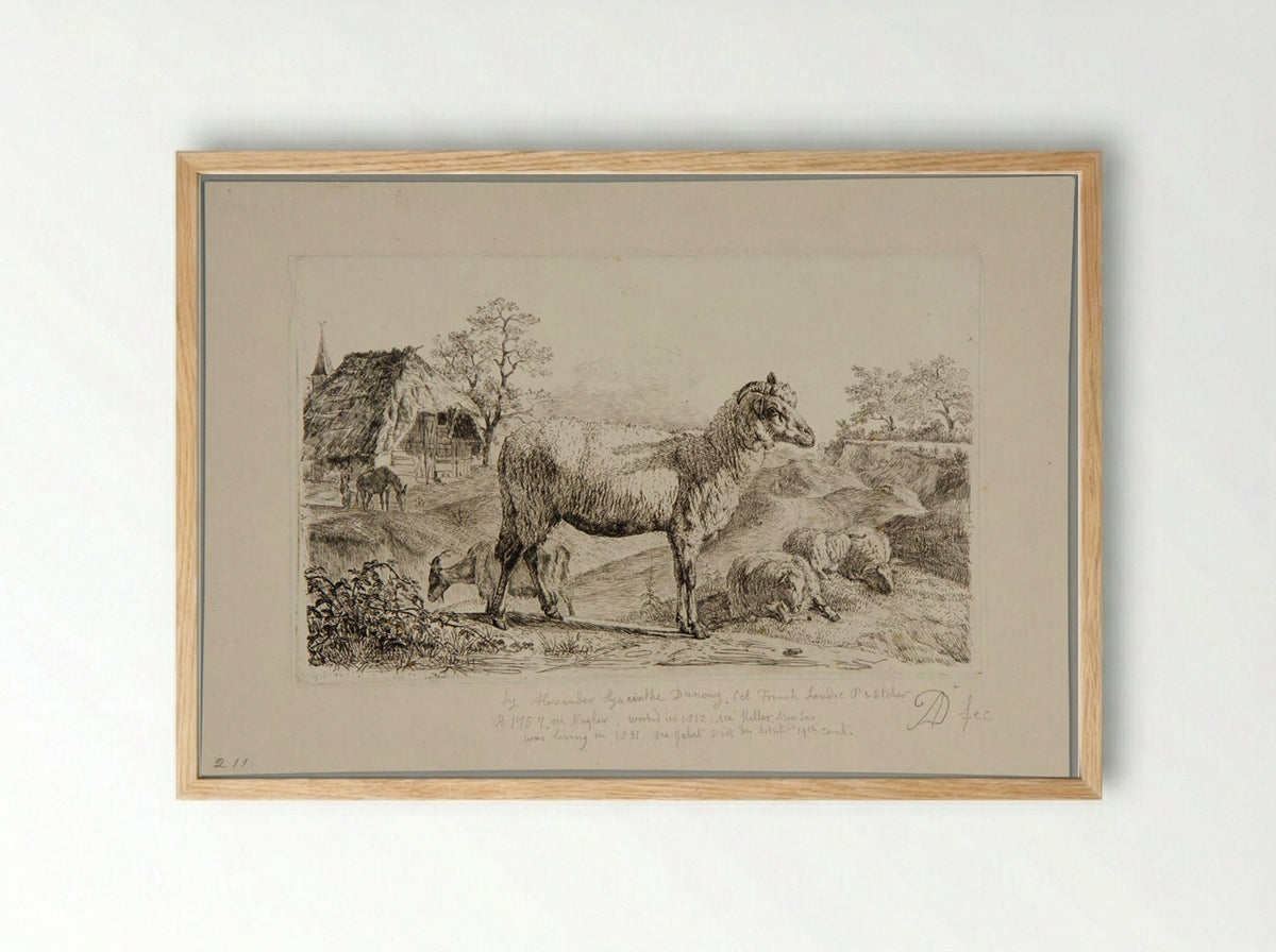 Sheep - Alexandre Hyacinthe Dunouy - Framed Print Wood