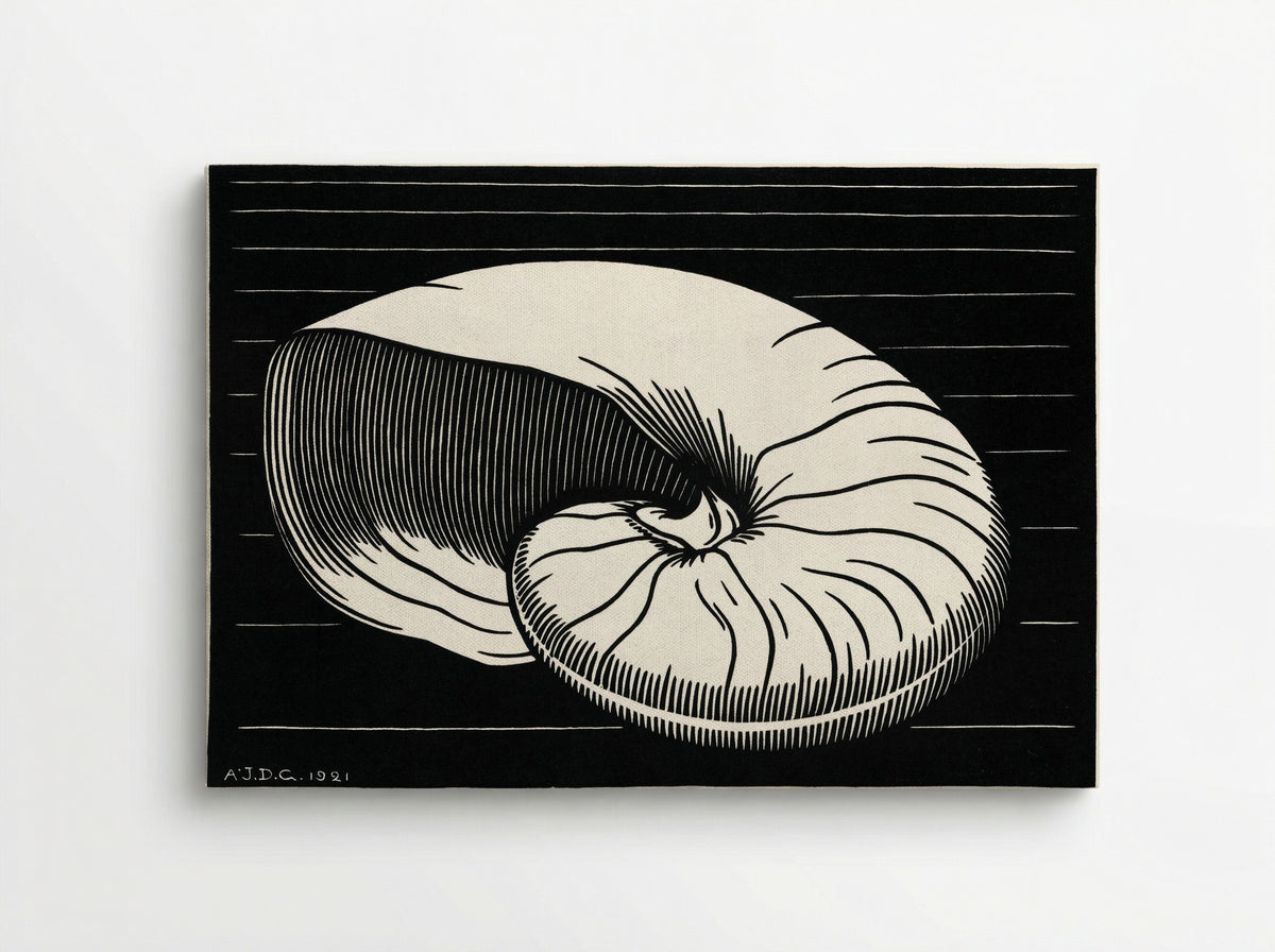 Shell - Julie de Graag - Canvas