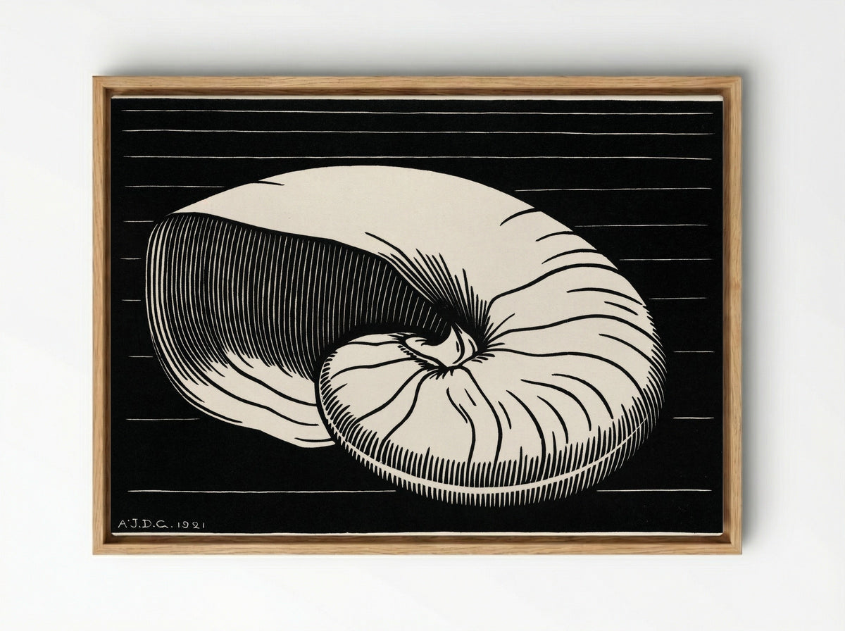 Shell - Julie de Graag - Framed Canvas Wood