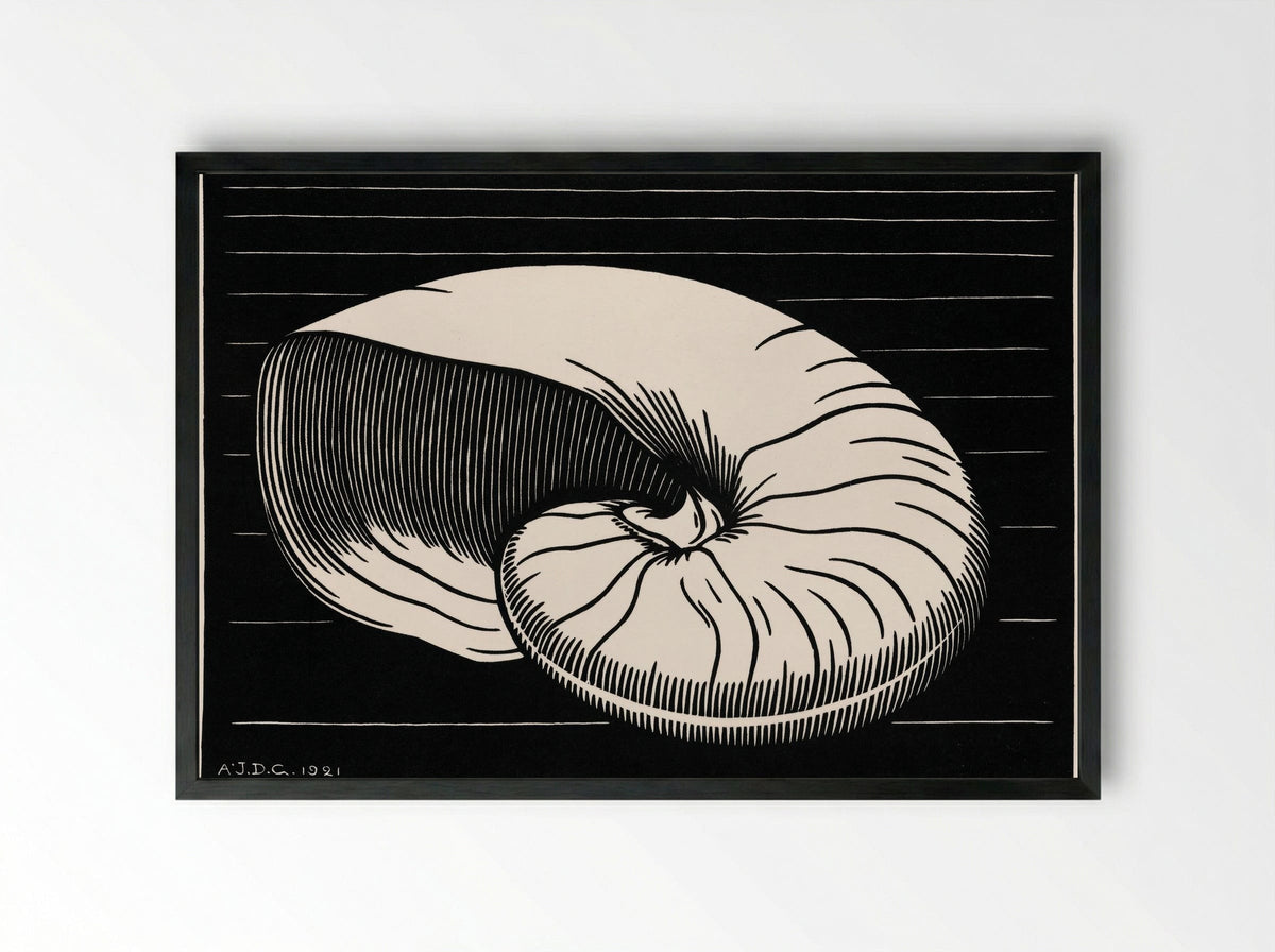 Shell - Julie de Graag - Framed Print Black