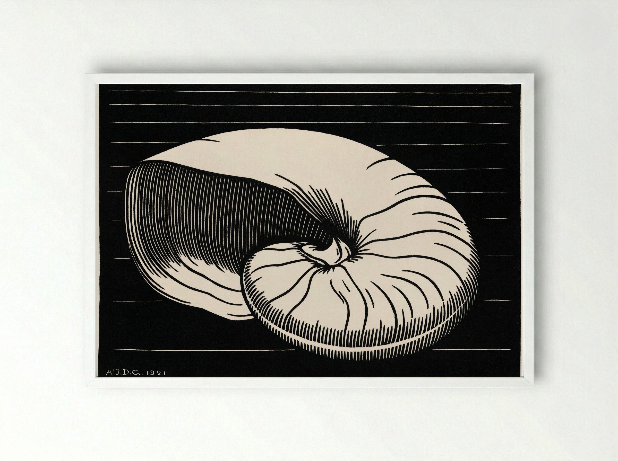 Shell - Julie de Graag - Framed Print White