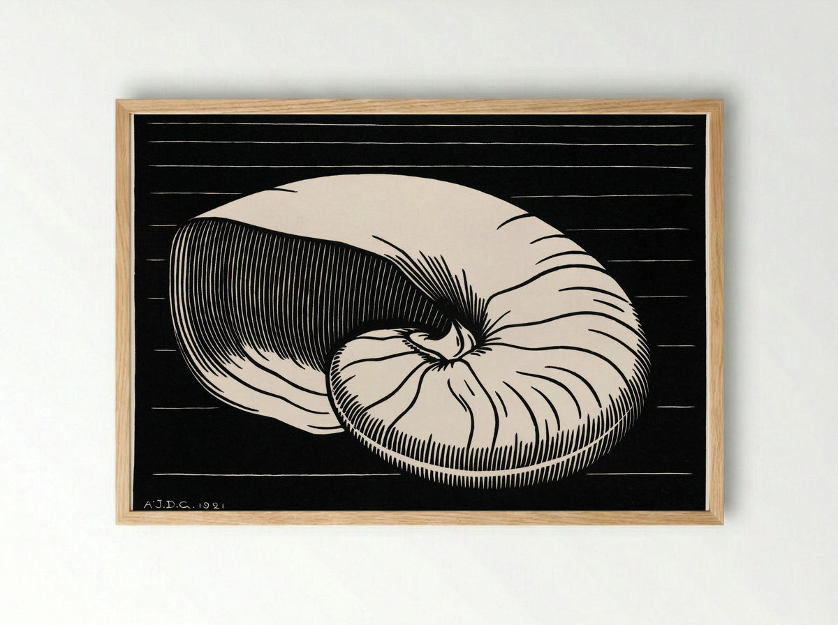 Shell - Julie de Graag - Framed Print Wood