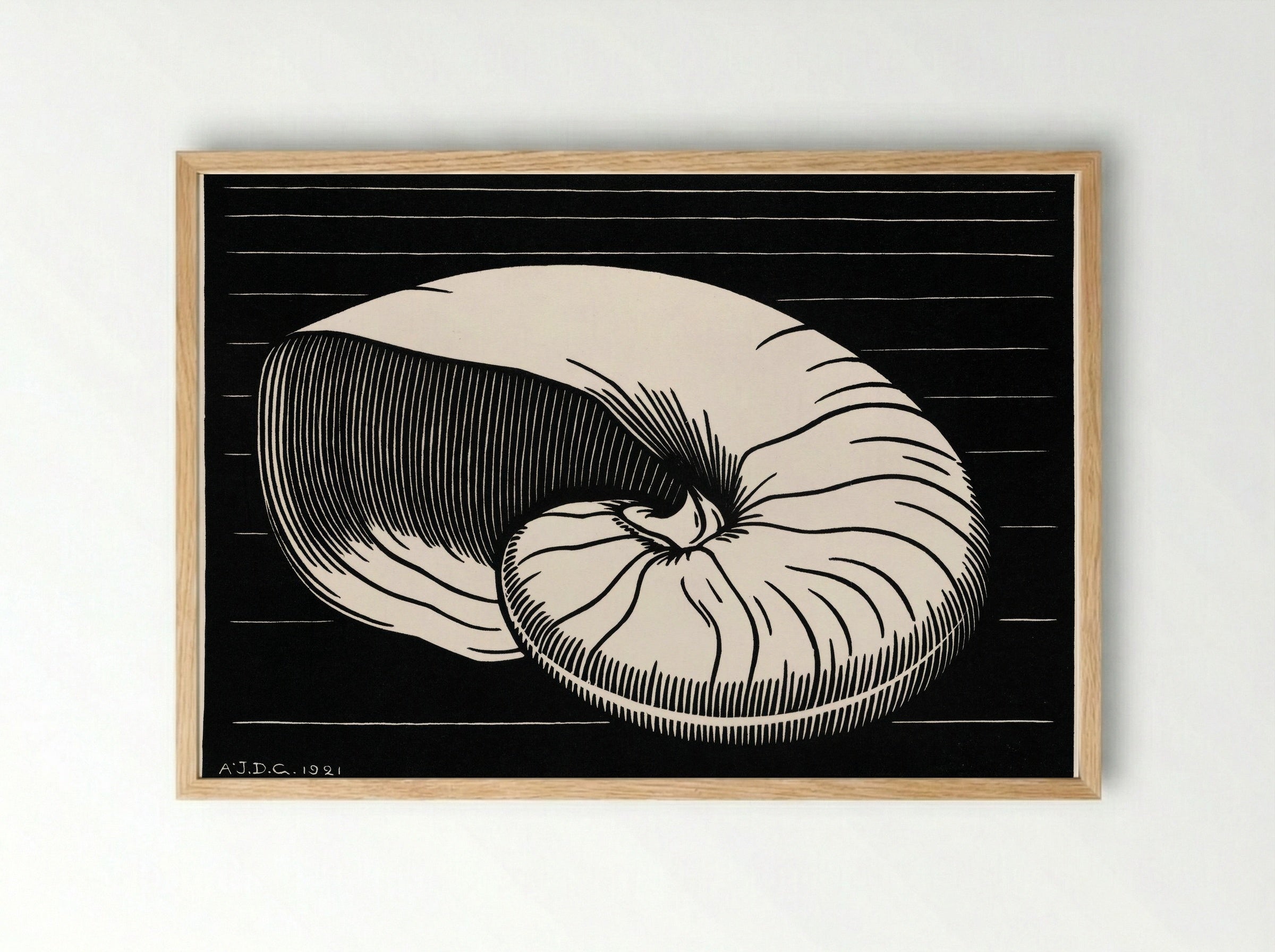 Shell - Julie de Graag - Framed Print Wood