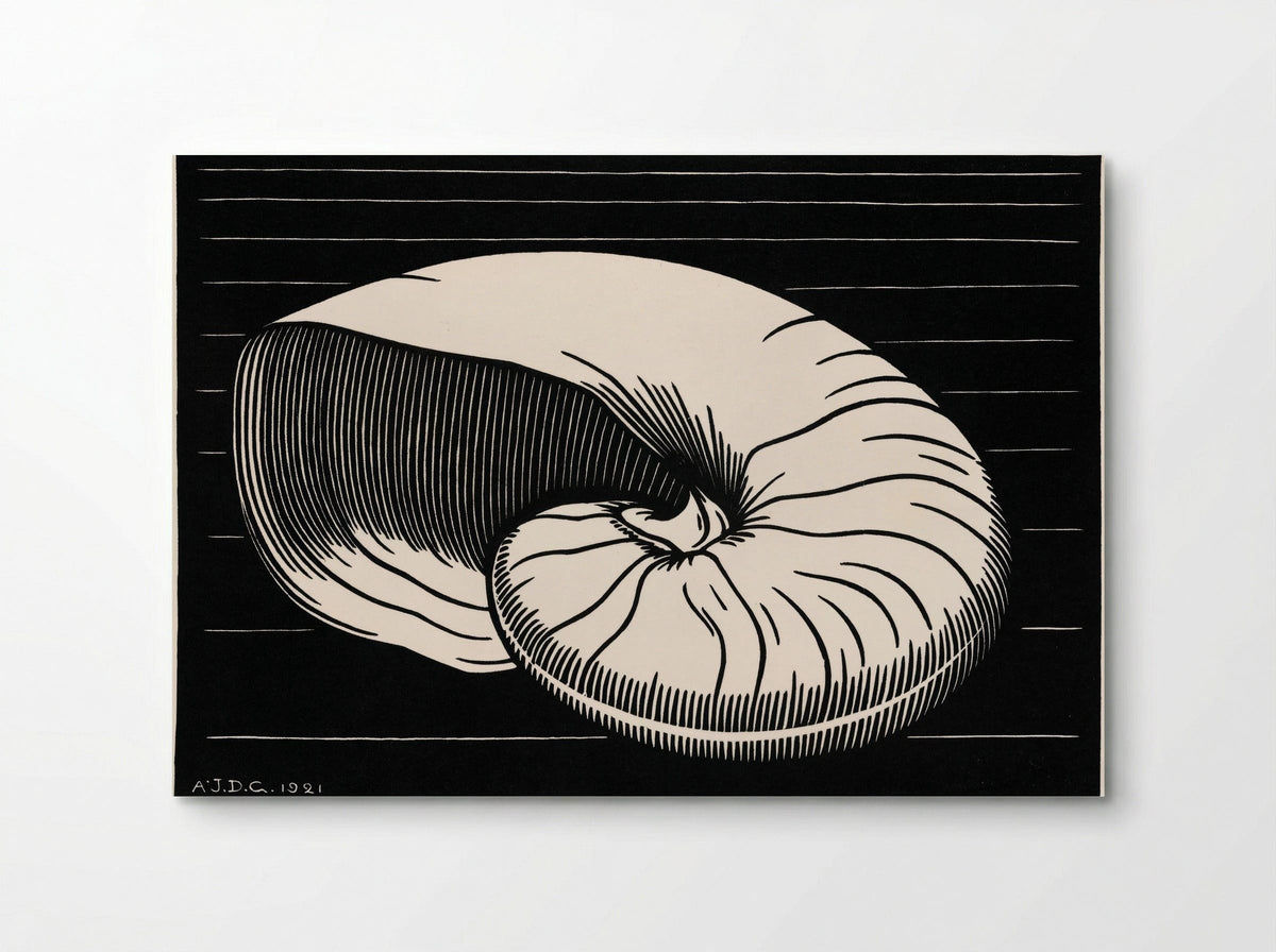 Shell - Julie de Graag - Poster