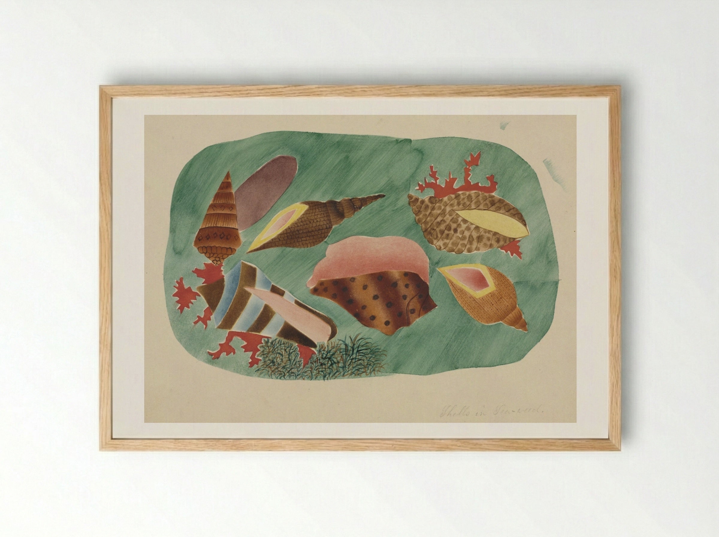 Shells in Seaweed - Mary Altha Nims - Framed Print Wood