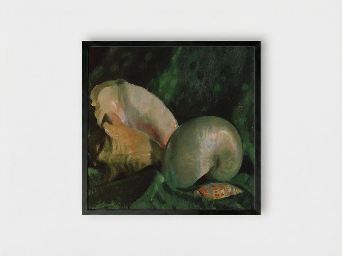Shells - Boris Kustodiev - Framed Print Black