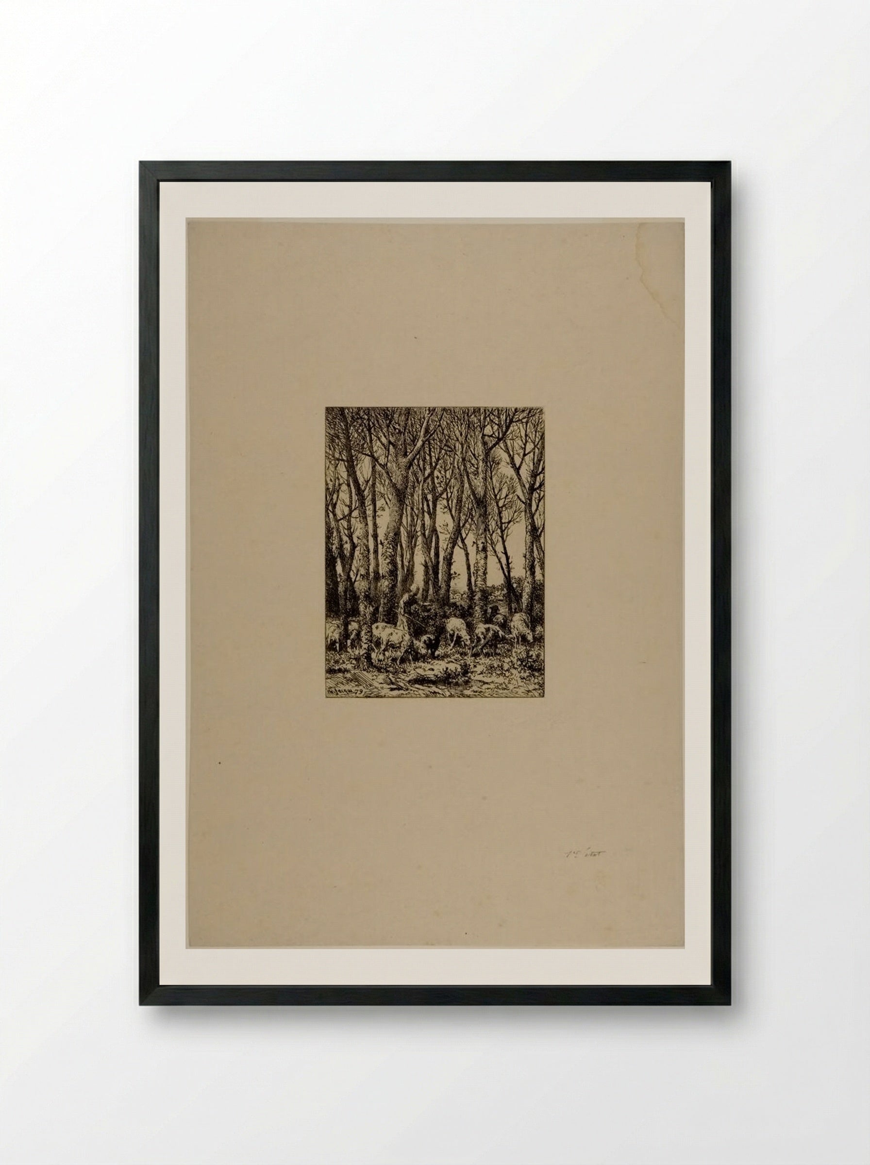 Shepherdess and Flock of Sheep in a Wood - Charles-Émile Jacque - Framed Print Black