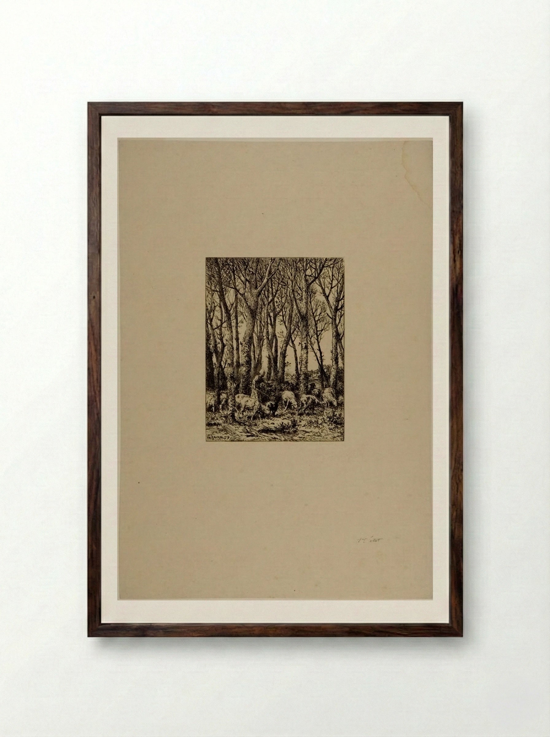 Shepherdess and Flock of Sheep in a Wood - Charles-Émile Jacque - Framed Print Dark Wood