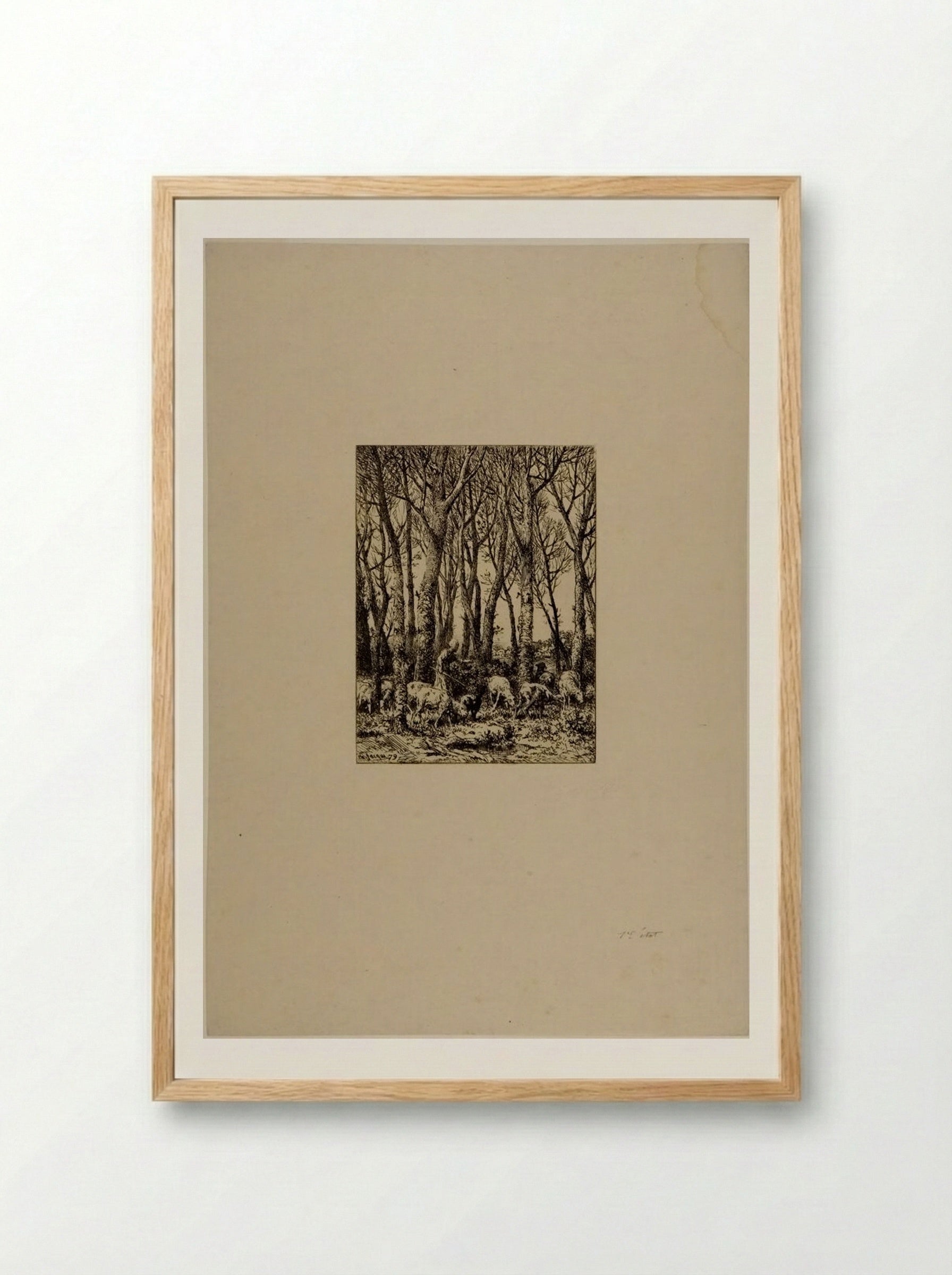 Shepherdess and Flock of Sheep in a Wood - Charles-Émile Jacque - Framed Print Wood