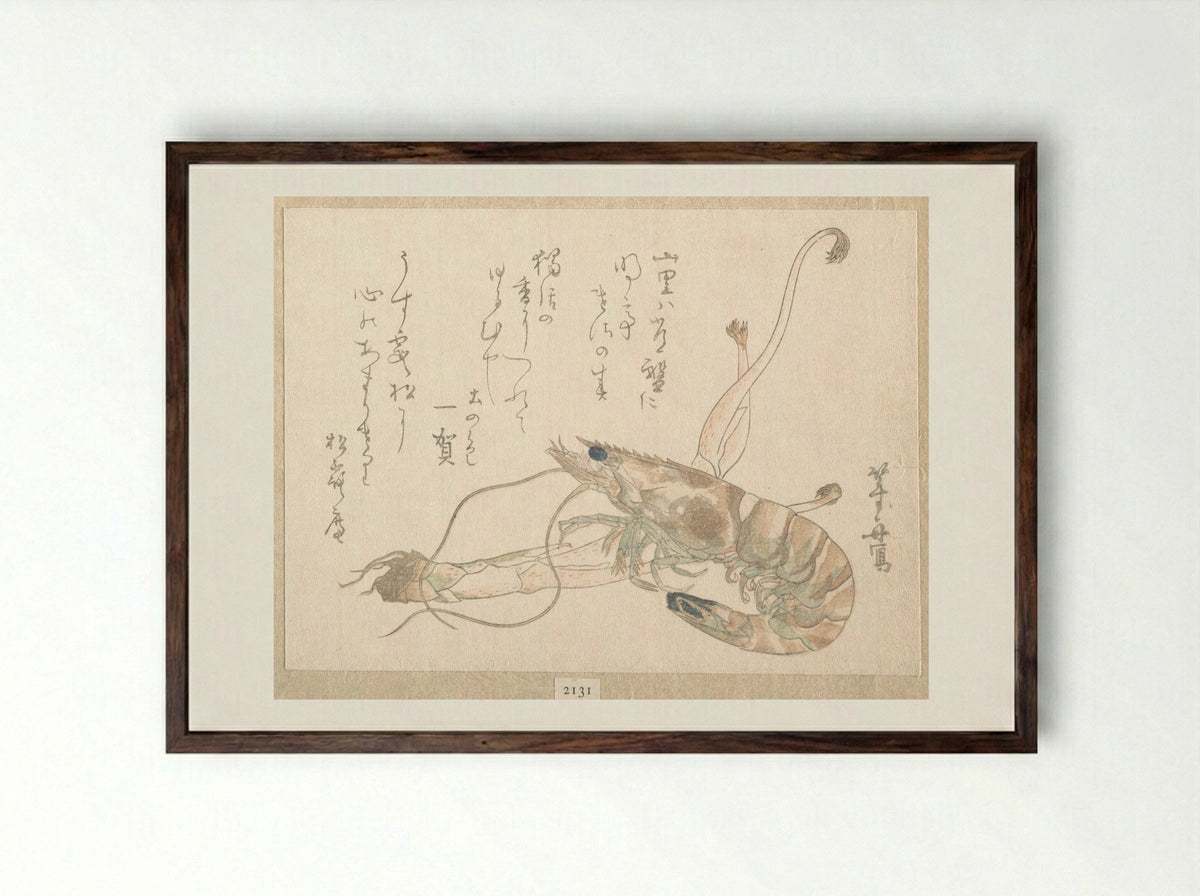 Shrimp and Udo Plant - Uematsu Tōshū - Framed Print Dark Wood