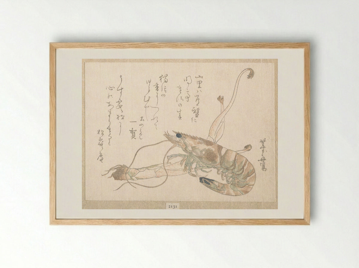 Shrimp and Udo Plant - Uematsu Tōshū - Framed Print Wood