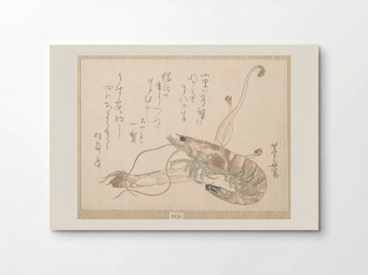 Shrimp and Udo Plant - Uematsu Tōshū - Poster