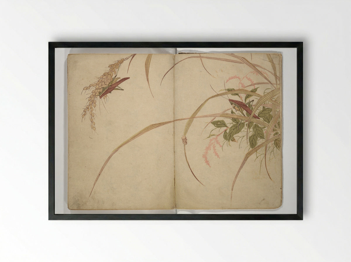 Shunkei Picture Album (Shunkei gafu) - Mori Shunkei - Framed Print Black