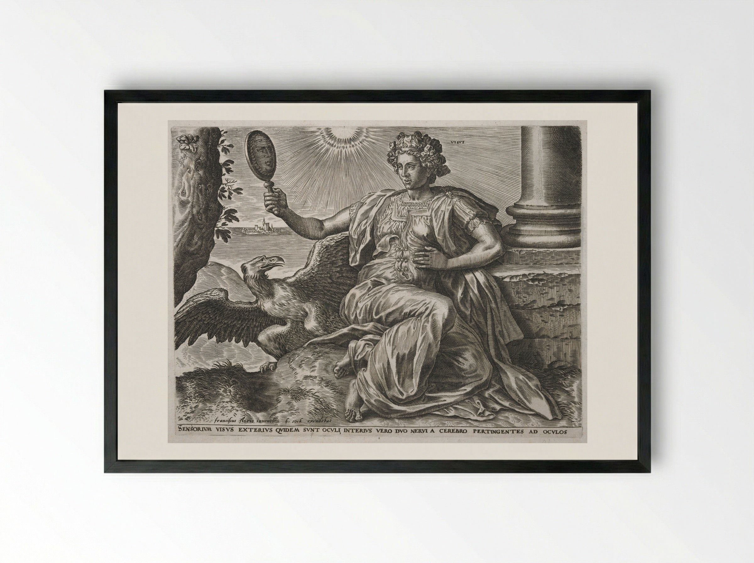 Sight - Cornelis Cort - Framed Print Black