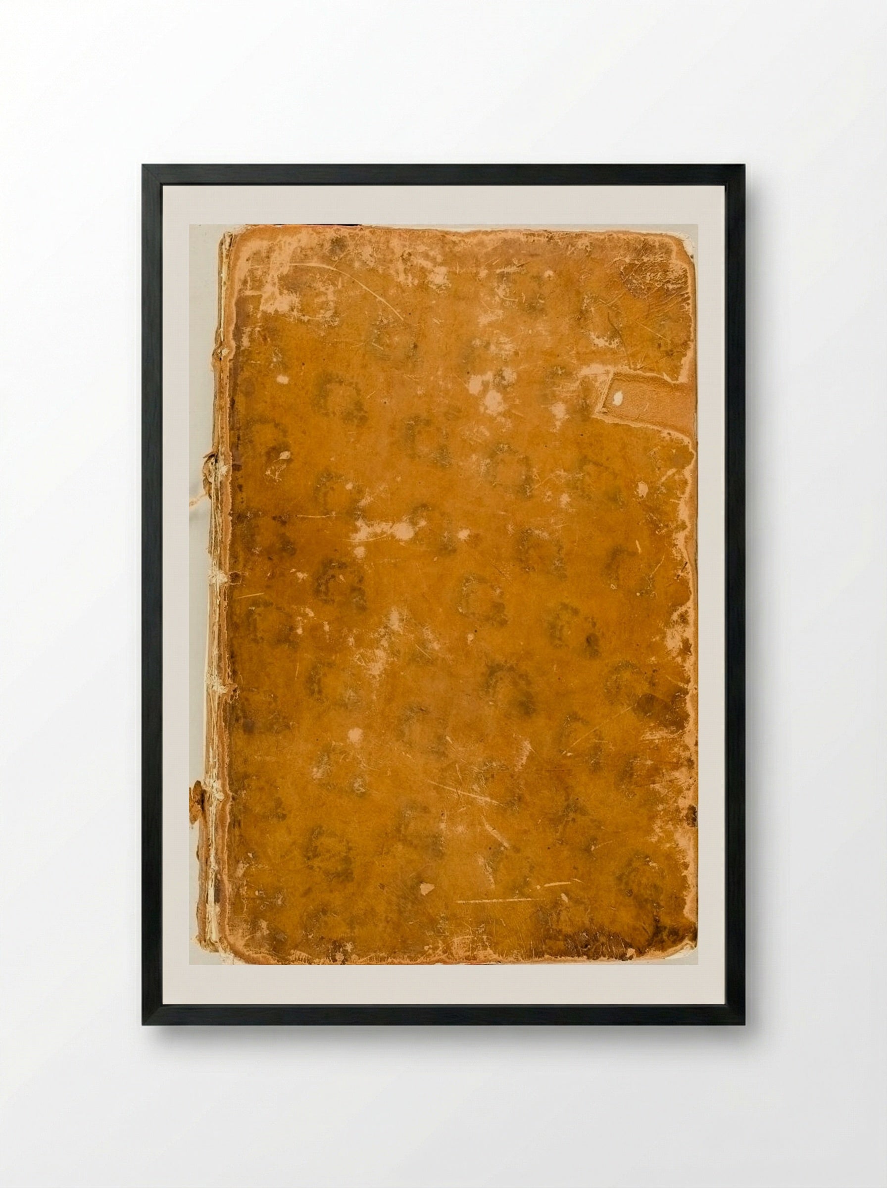 Signorum veterum icones (Binding Detail) - Jan de Bisschop - Framed Print Black