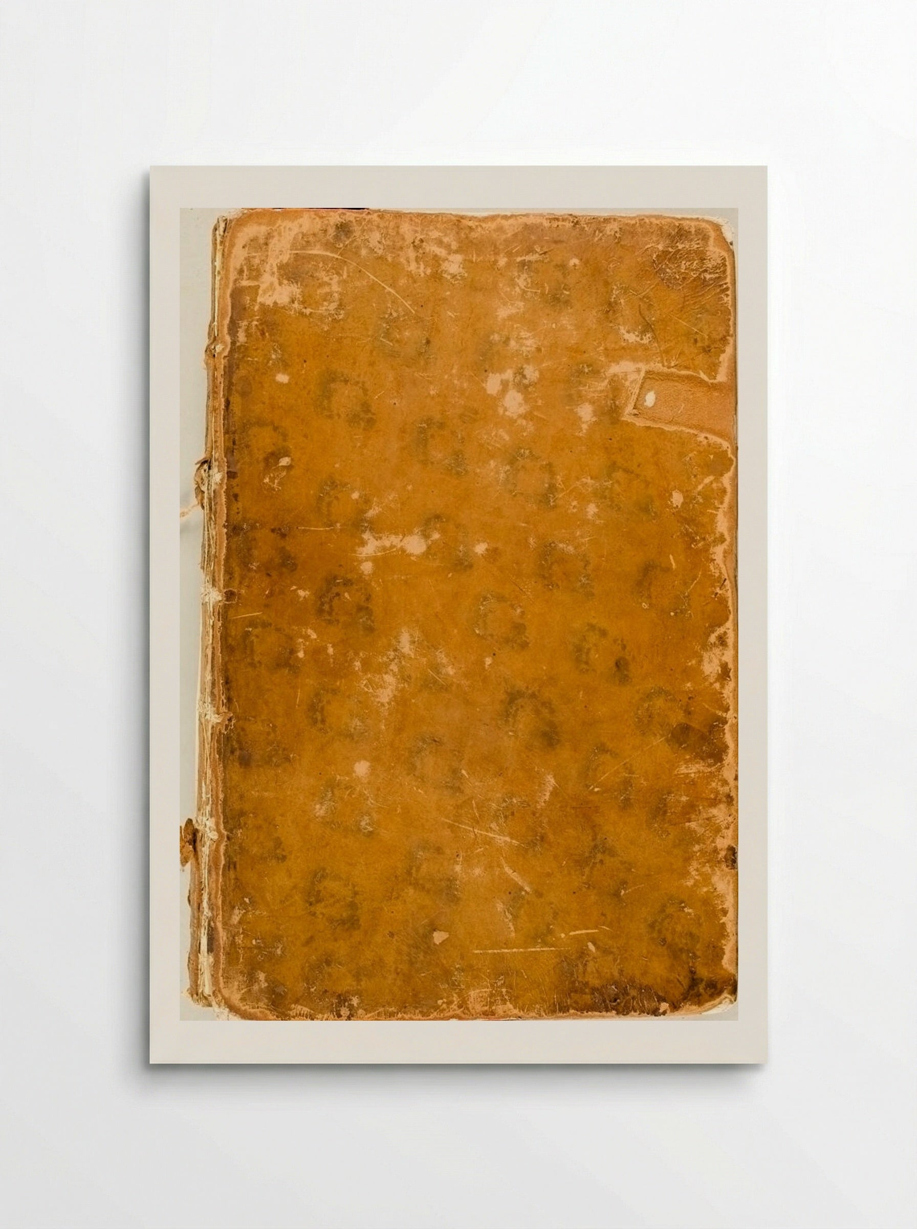 Signorum veterum icones (Binding Detail) - Jan de Bisschop - Poster