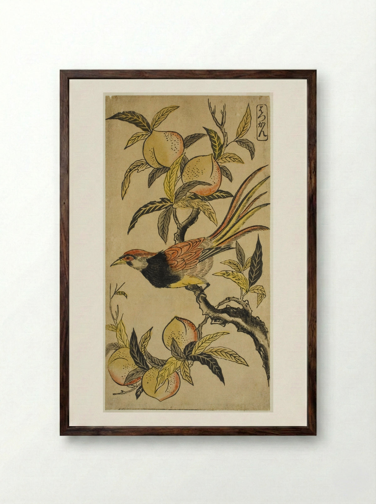 Silver Pheasant (Hakkan) - Nishimura Shigenaga - Framed Print Dark Wood