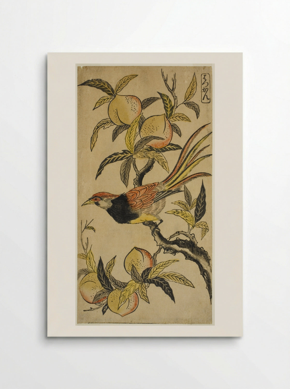 Silver Pheasant (Hakkan) - Nishimura Shigenaga - Poster
