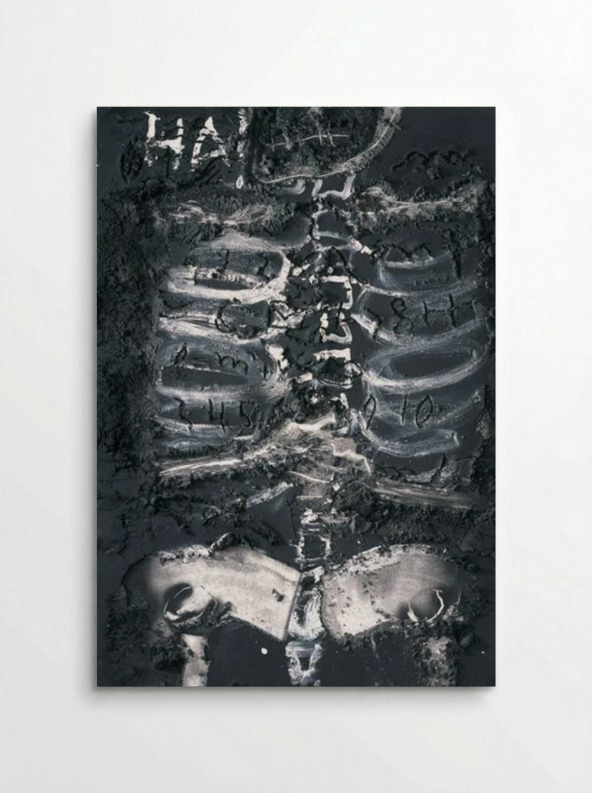 Skeleton on material - Antoni Tàpies - Poster