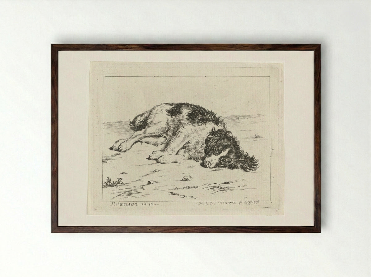 Slapende hond (Sleeping Dog) - Johannes Christiaan de Marees - Framed Print Dark Wood